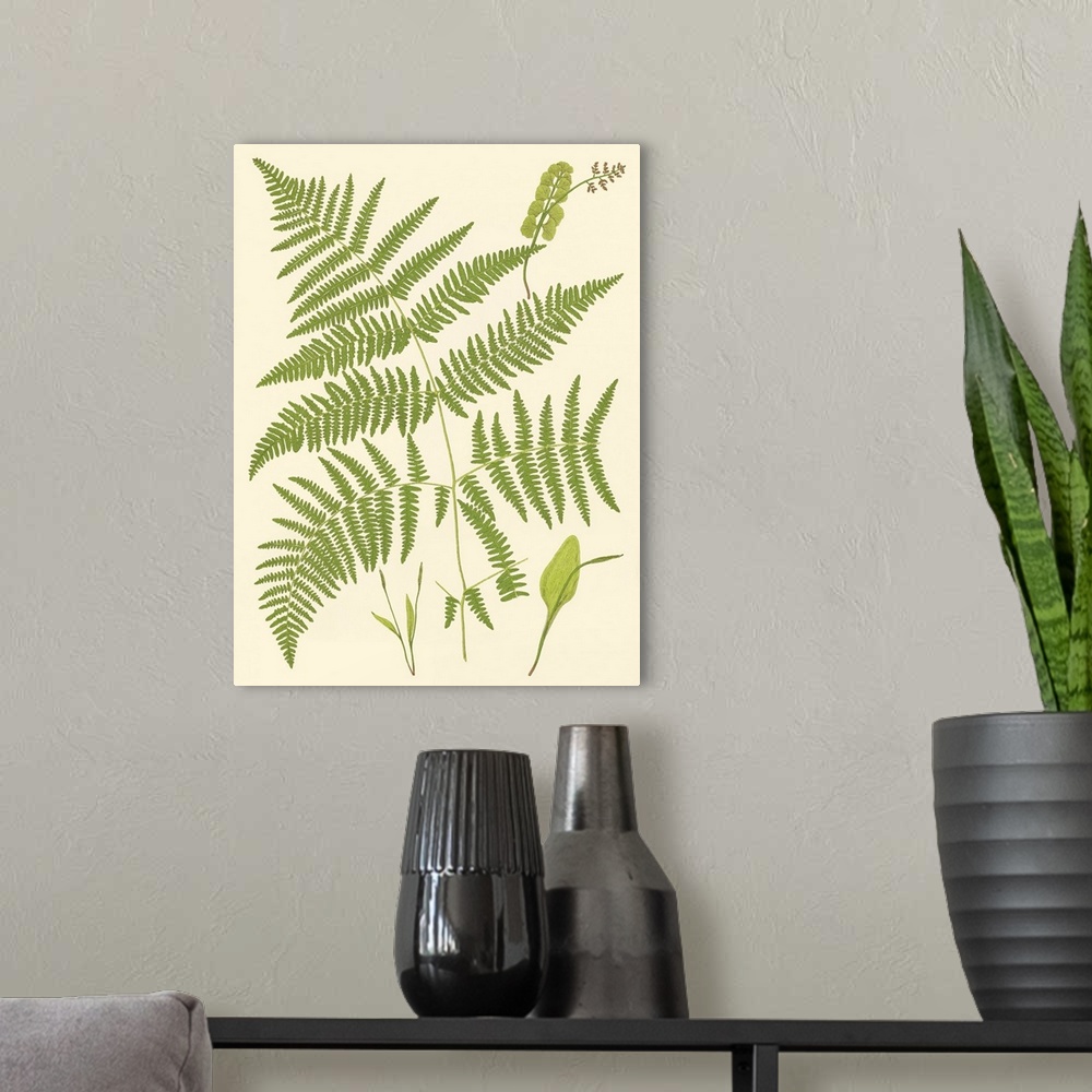 A modern room featuring Ferns with Platemark I