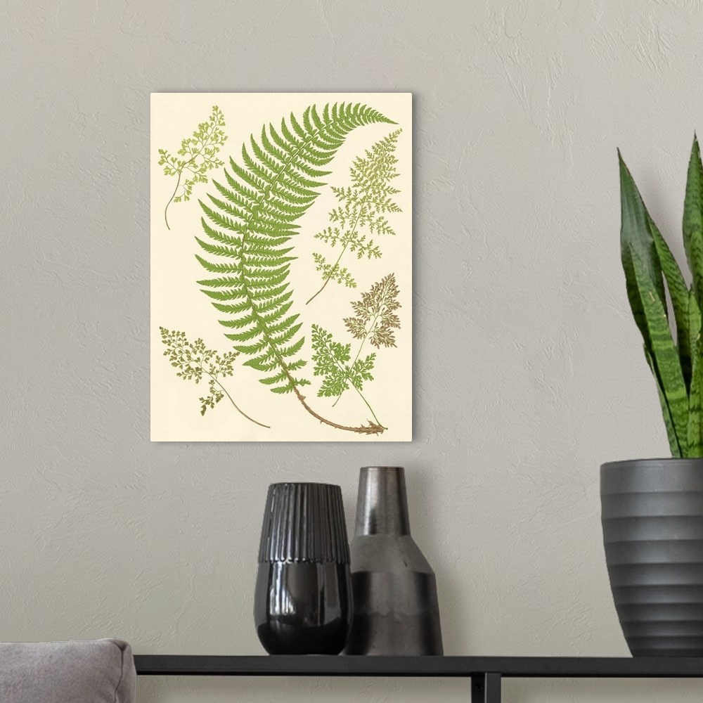 A modern room featuring Ferns with Platemark IV