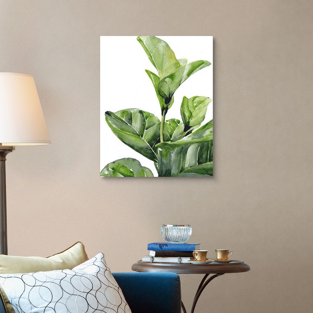 A traditional room featuring Fiddle Fig I