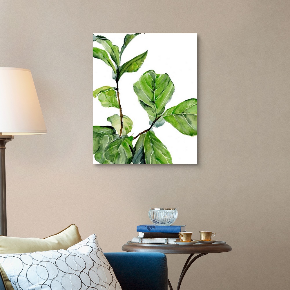 A traditional room featuring Fiddle Fig II