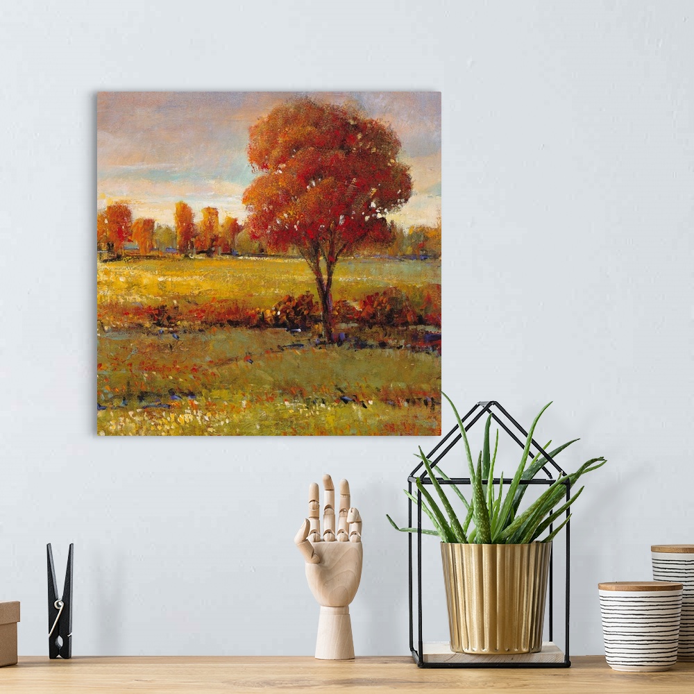 A bohemian room featuring Field in Fall