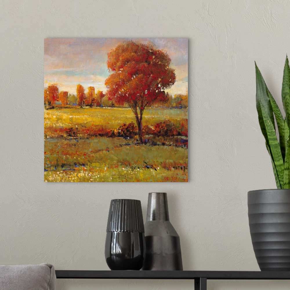 A modern room featuring Field in Fall