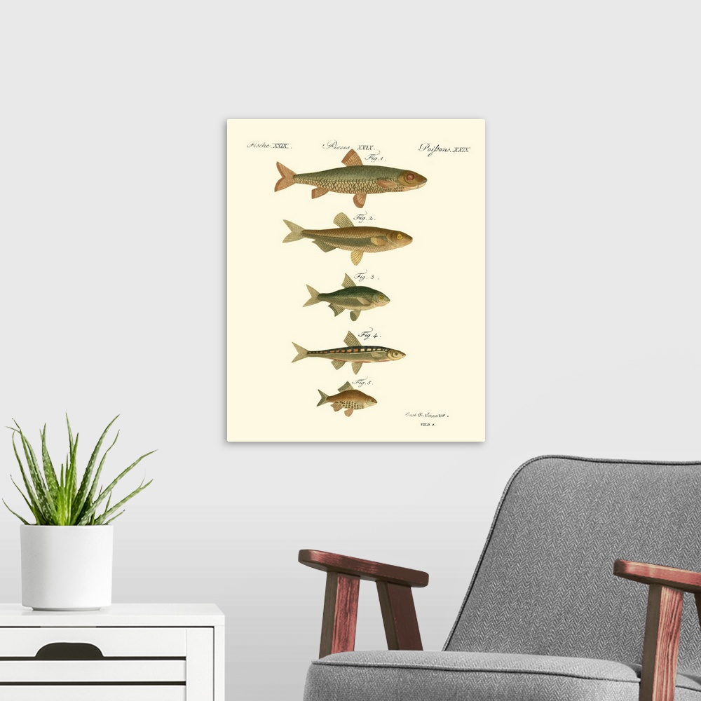 A modern room featuring Fish Anthology I