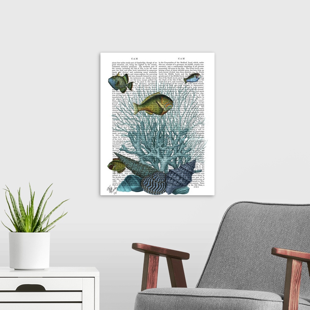 A modern room featuring Fish Blue Shells and Corals