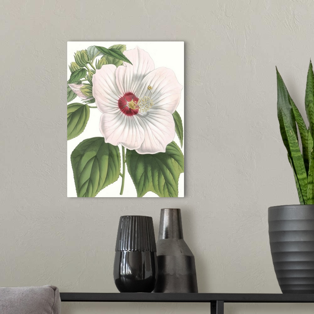 A modern room featuring Contemporary illustration of a tropical flower.