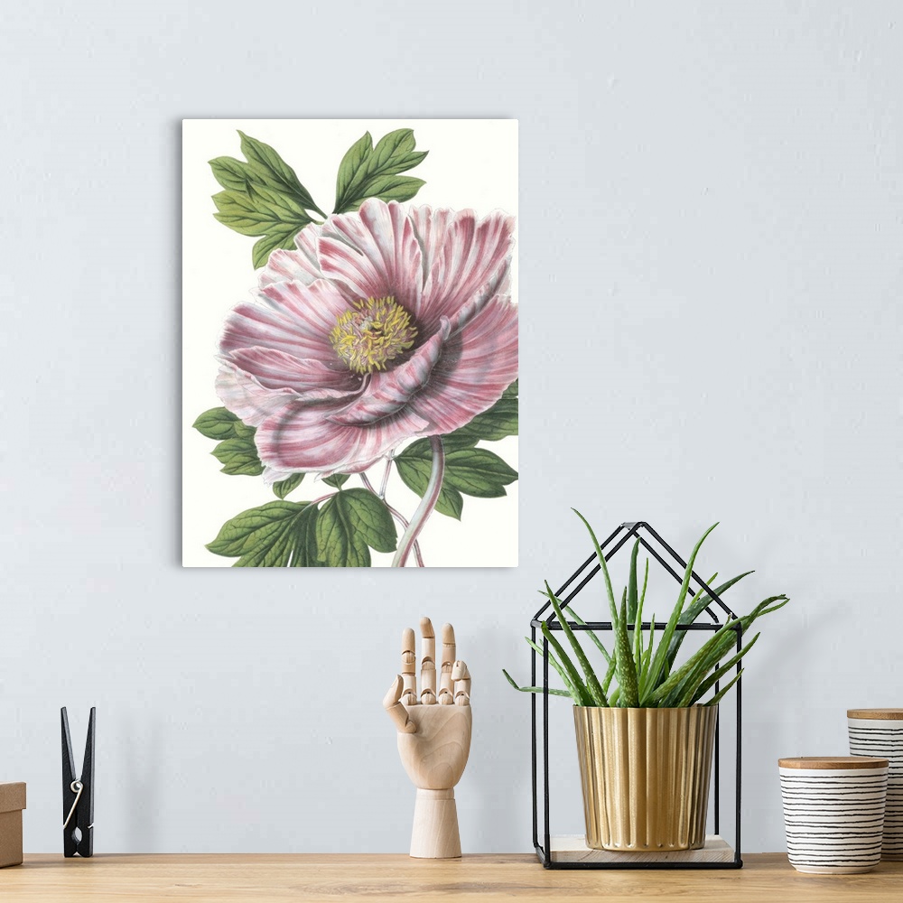 A bohemian room featuring Contemporary illustration of a tropical flower.