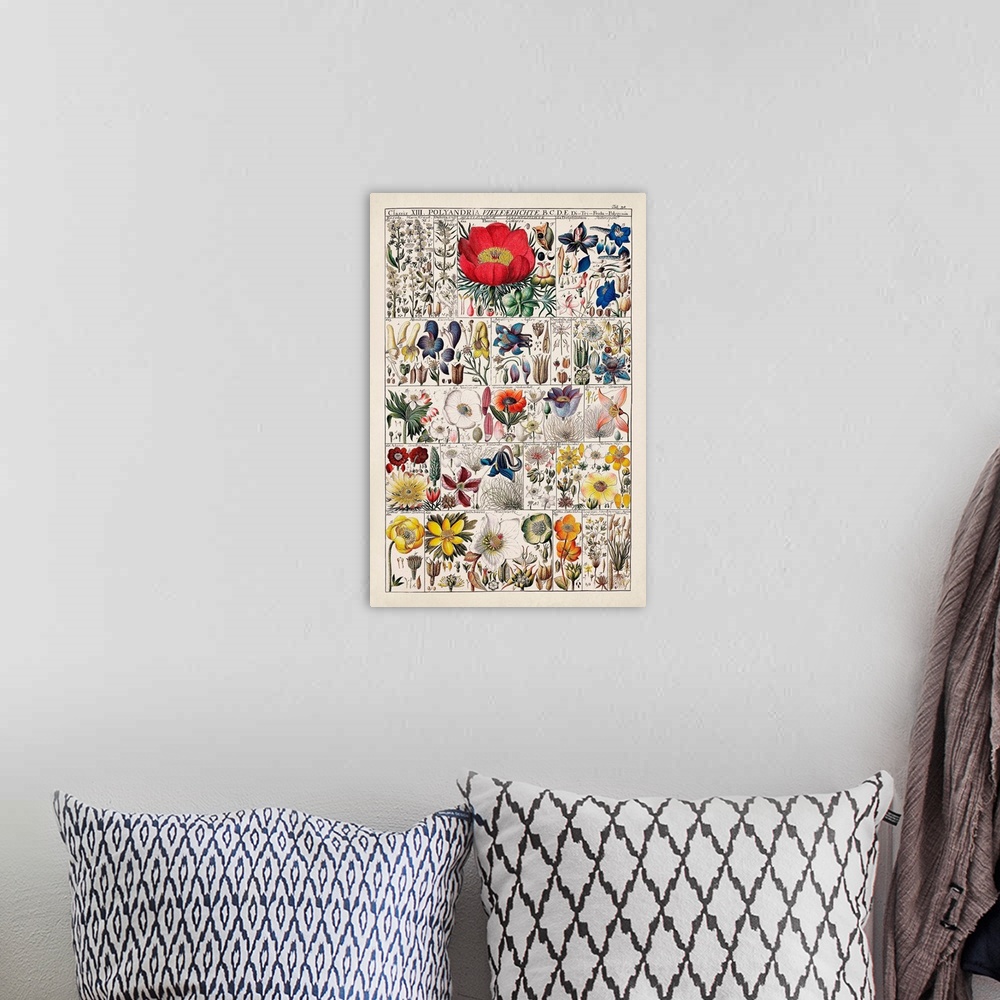 A bohemian room featuring Floral Chart