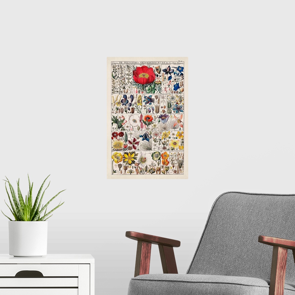 A modern room featuring Floral Chart