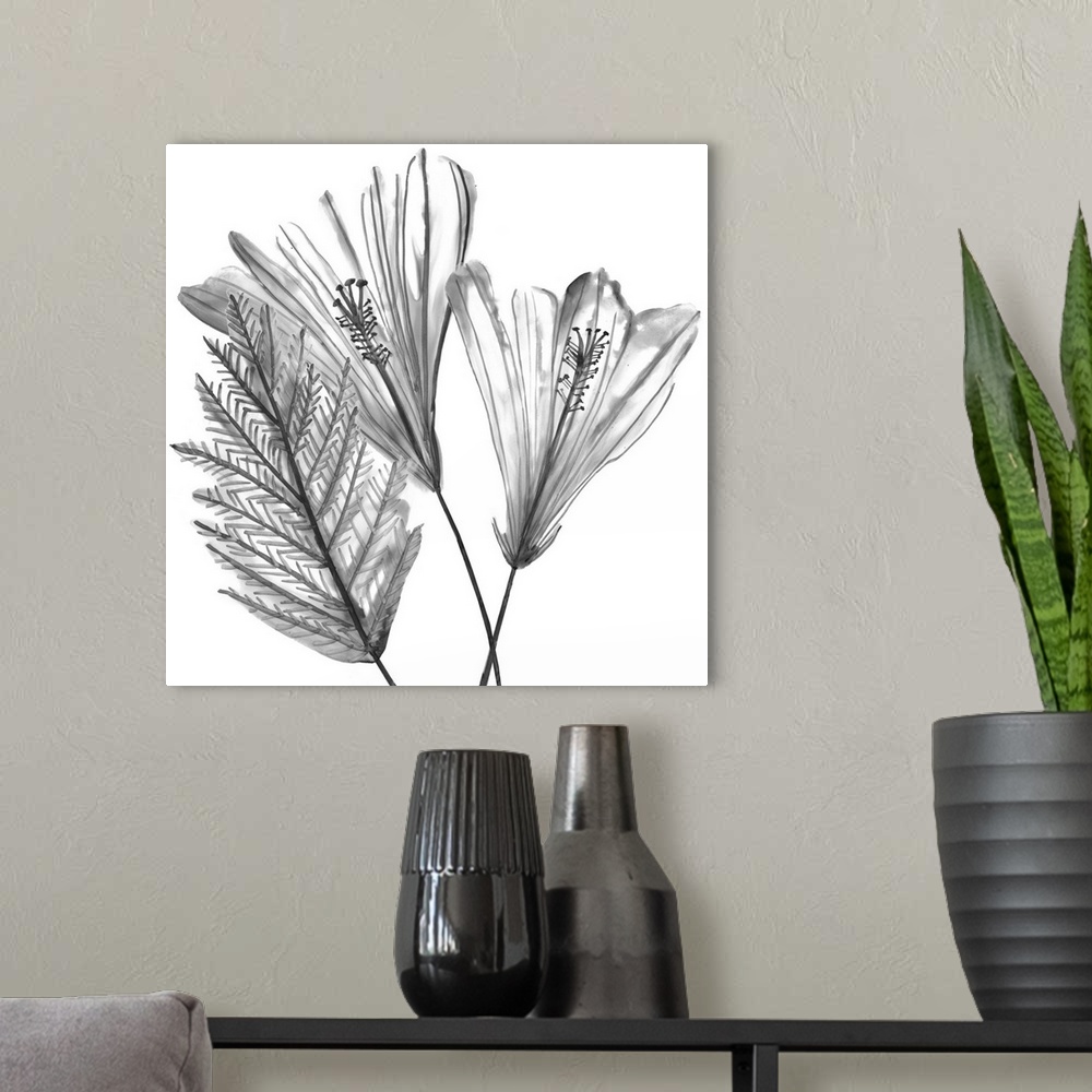 A modern room featuring Contemporary line art of flowers and foliage in shades of gray and black.