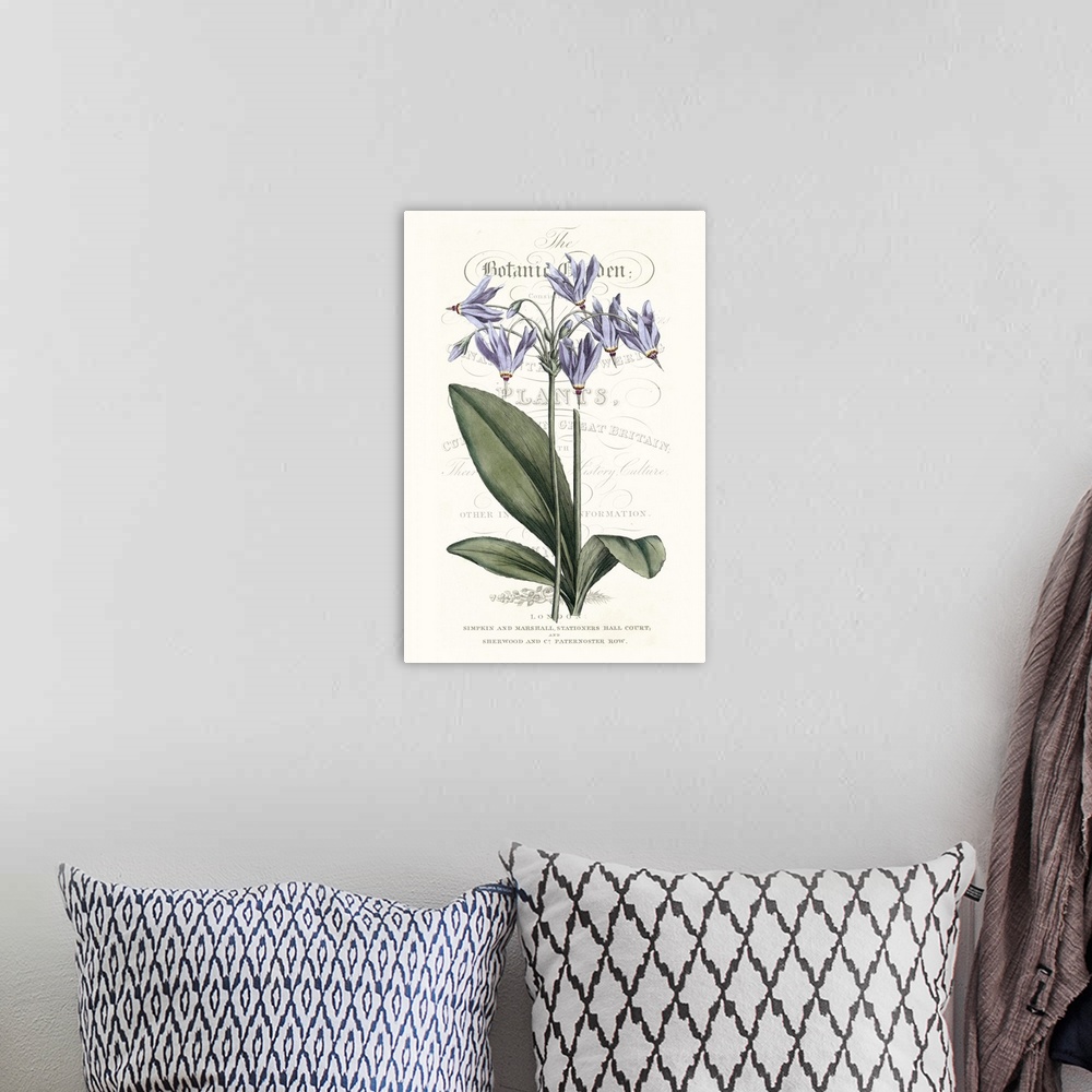 A bohemian room featuring This botanical illustration features a purple flower over decorative text on a neutral background.