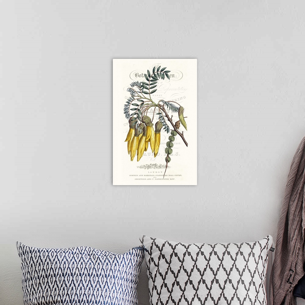 A bohemian room featuring This botanical illustration features a yellow flower over decorative text on a neutral background.