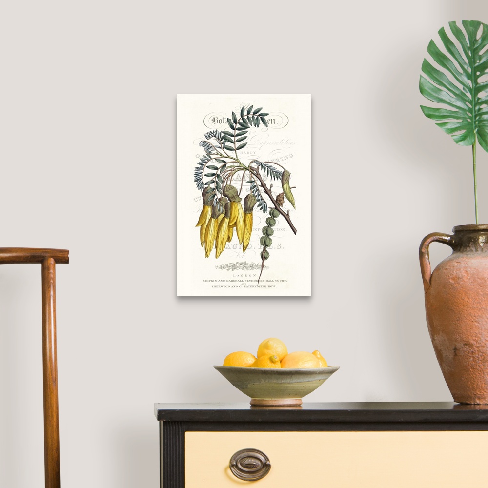 A traditional room featuring This botanical illustration features a yellow flower over decorative text on a neutral background.