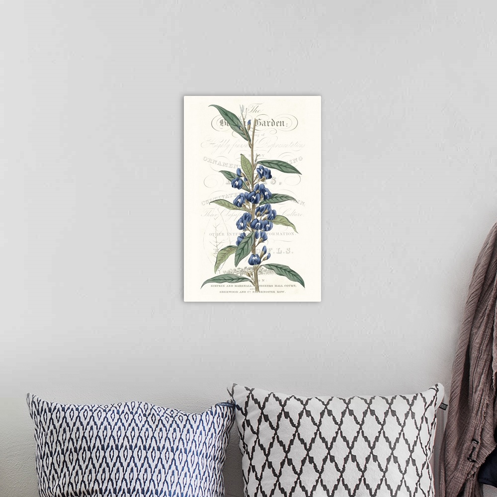 A bohemian room featuring This botanical illustration features a blue flower over decorative text on a neutral background.