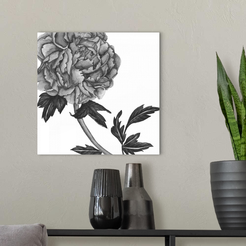 A modern room featuring Black and white painting of a large rose bloom on a white background.