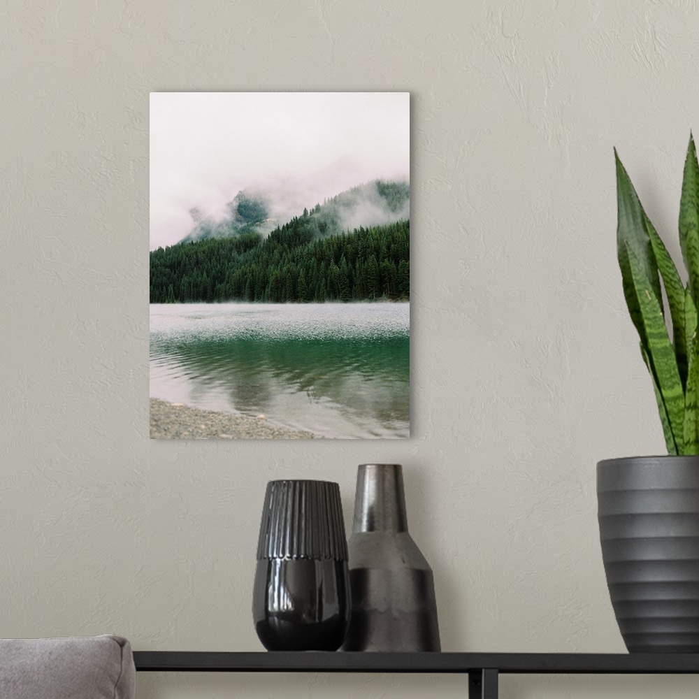 A modern room featuring A photograph of dense evergreen trees by the side of a clear lake interspersed with low clouds an...