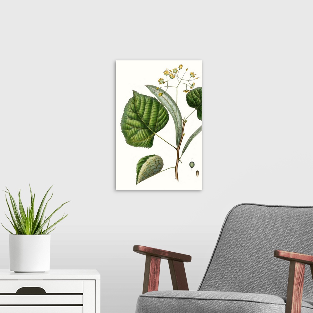 A modern room featuring This botanical illustration has a vintage style and illustrates the desire to study details of th...