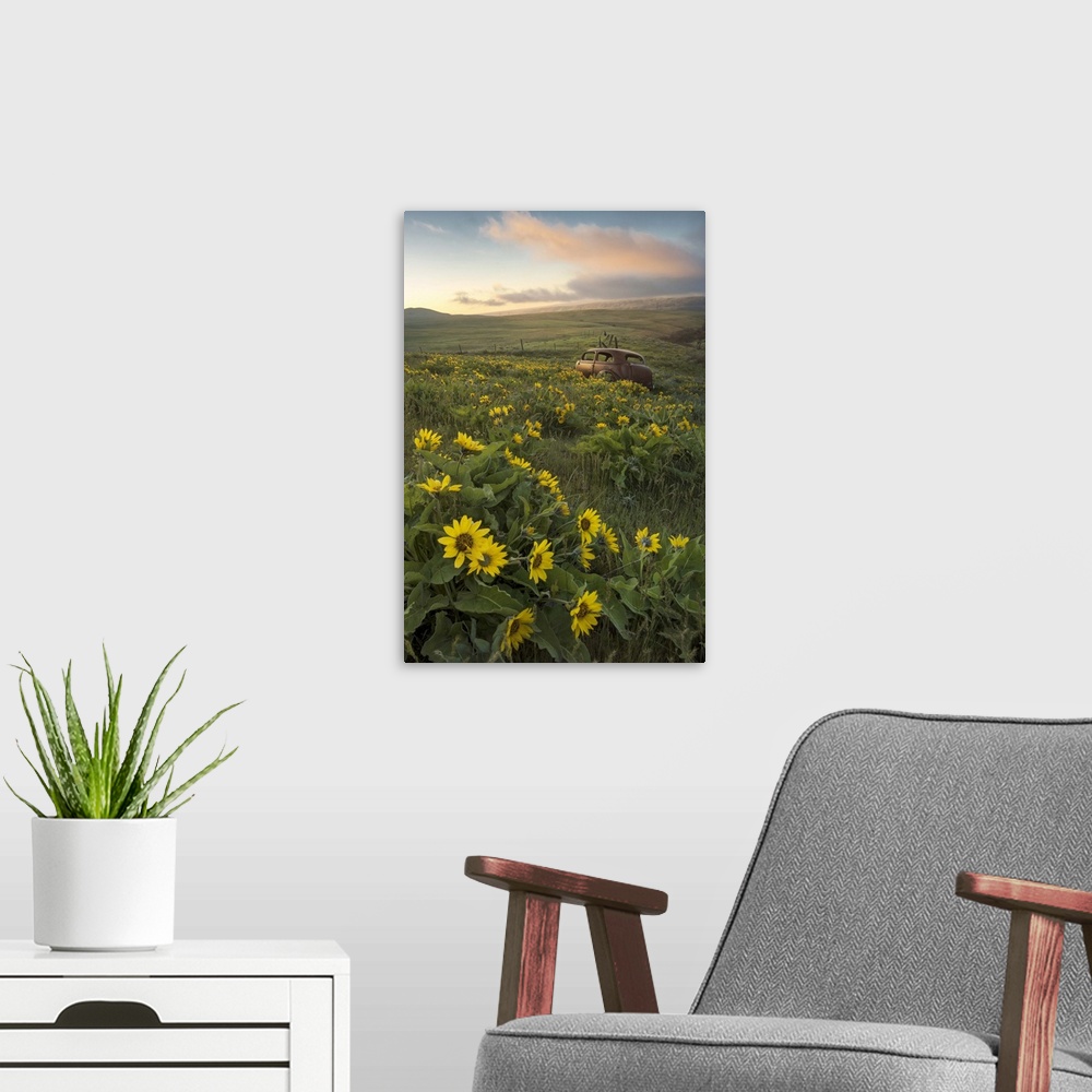 A modern room featuring An abandoned car rests in a tranquil field full of sunflowers in this serene photo.