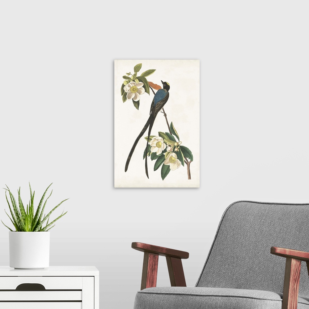 A modern room featuring Fork-Tailed Flycatcher