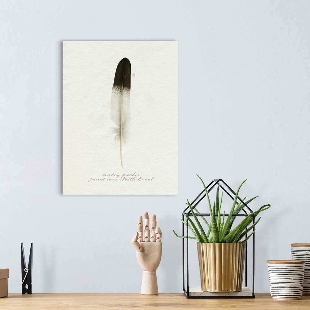 A bohemian room featuring Found Feather IV