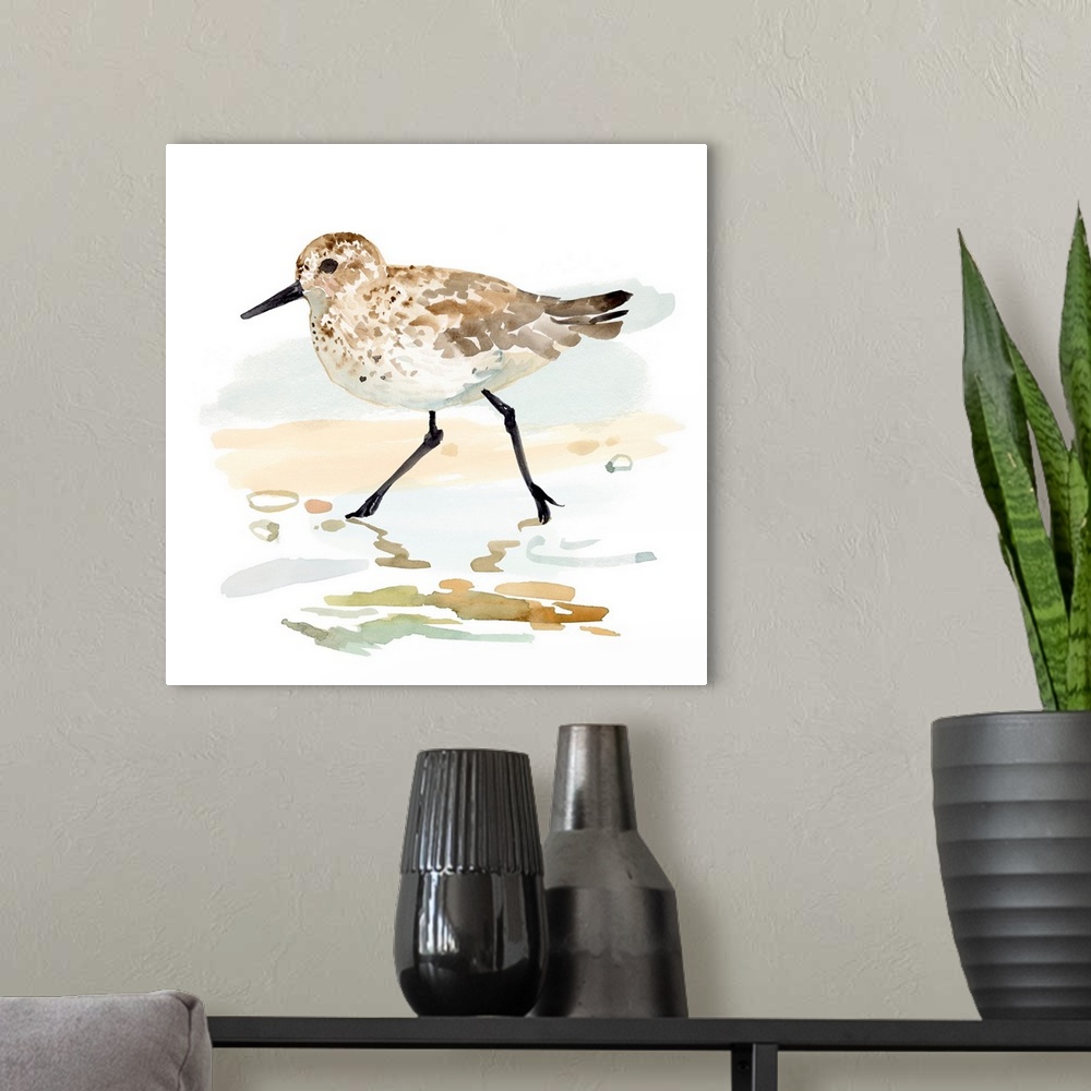 A modern room featuring Freckled Sandpiper I