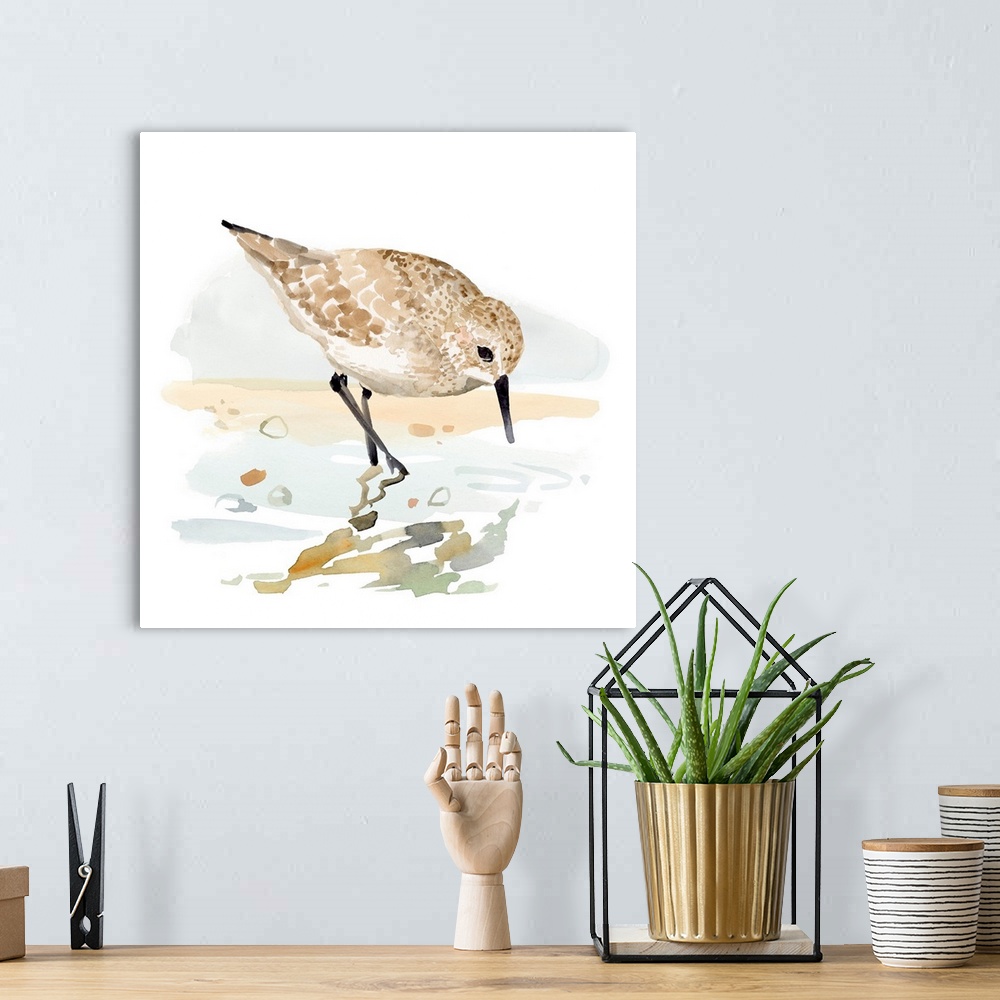 A bohemian room featuring Freckled Sandpiper II