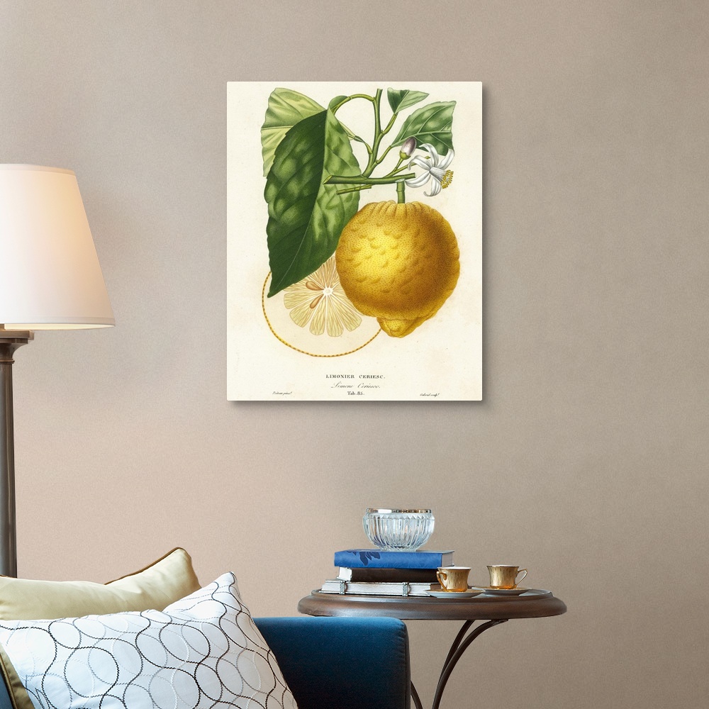 A traditional room featuring Contemporary artwork of a botanical illustration in a vintage style.