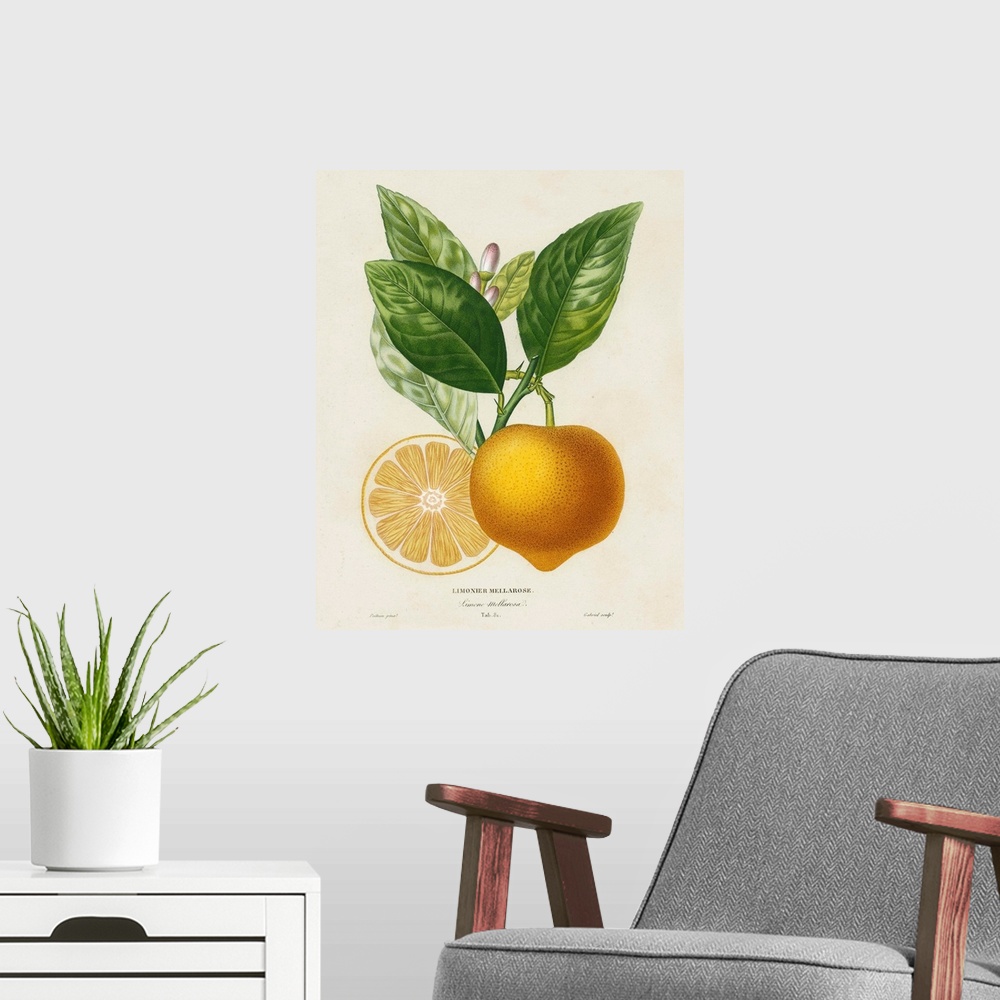 A modern room featuring Contemporary artwork of a botanical illustration in a vintage style.