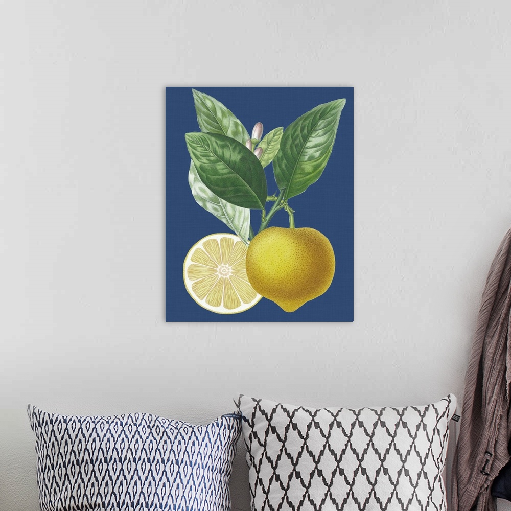 A bohemian room featuring French Lemon on Navy II