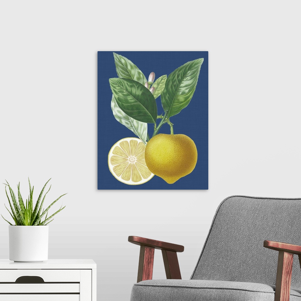 A modern room featuring French Lemon on Navy II
