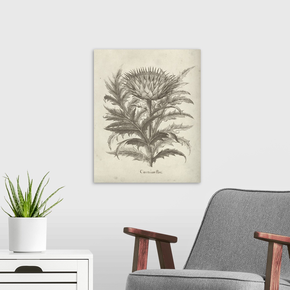 A modern room featuring Vintage-inspired botanical illustration of an artichoke.