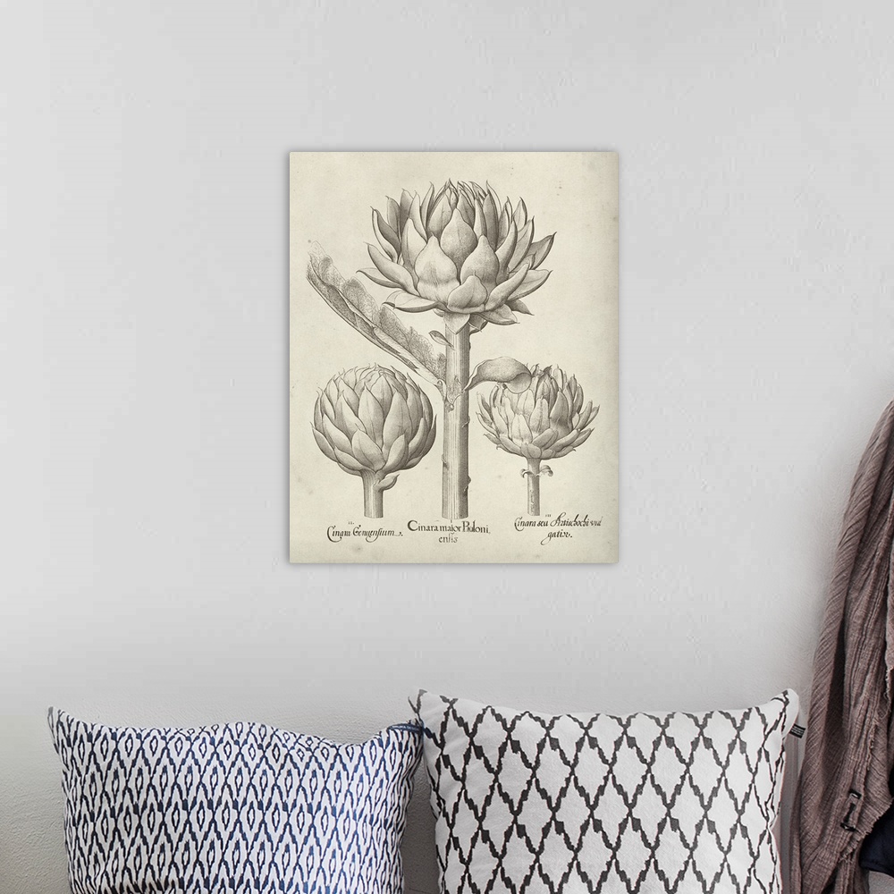 A bohemian room featuring Vintage-inspired botanical illustration of an artichoke.