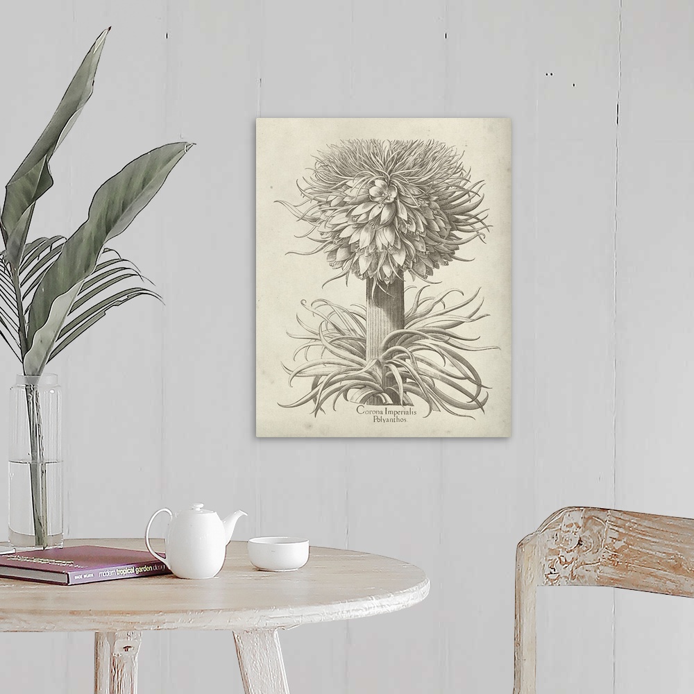 A farmhouse room featuring Vintage-inspired botanical illustration of a crown imperial flower.