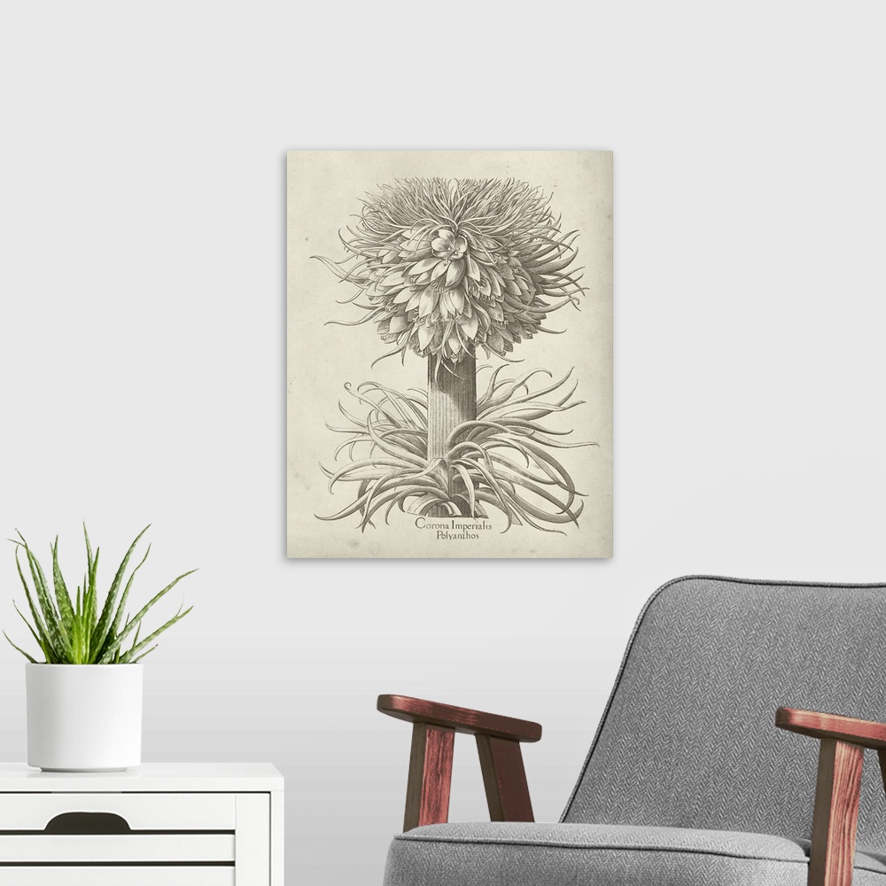 A modern room featuring Vintage-inspired botanical illustration of a crown imperial flower.