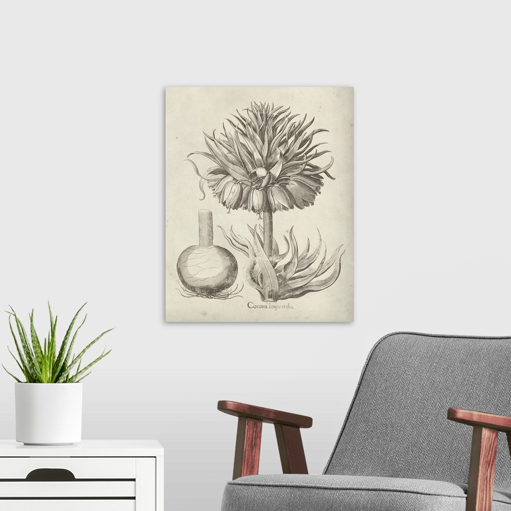 A modern room featuring Vintage-inspired botanical illustration of a crown imperial flower.