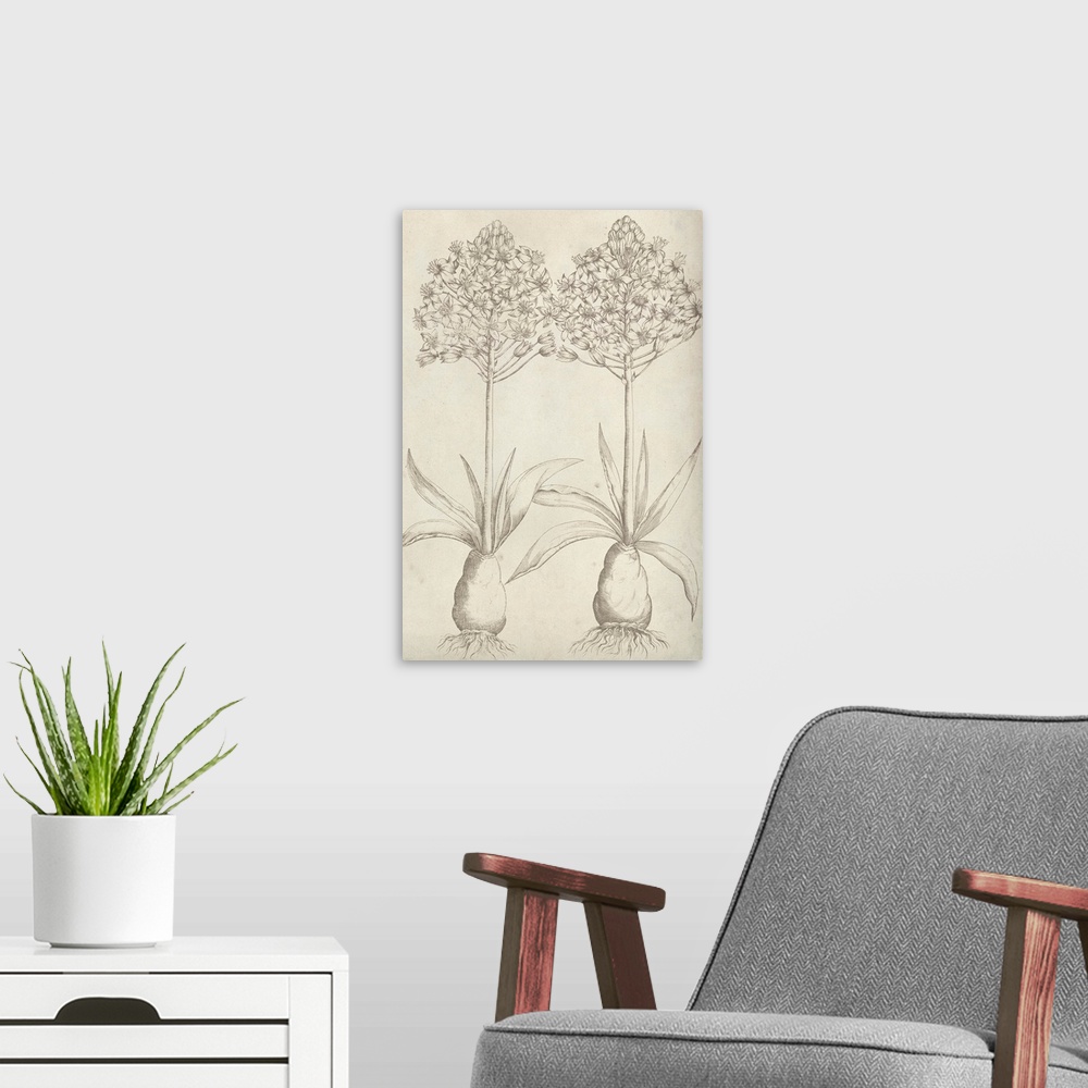 A modern room featuring This line illustration has a vintage feeling and features two plants showing the blossoms at the ...