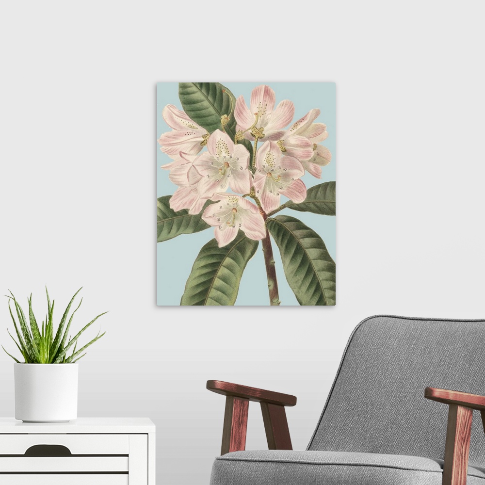 A modern room featuring A botanical illustration finished in a vintage style over a soft blue background fills this conte...
