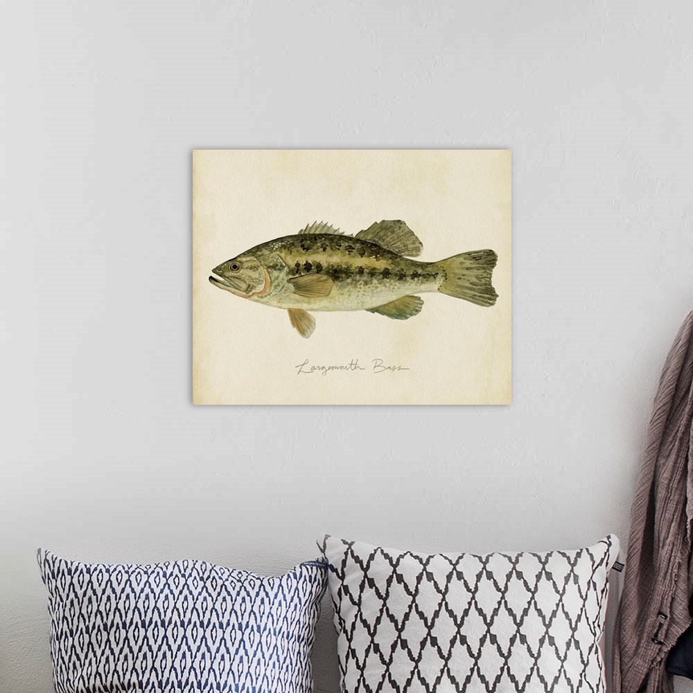 A bohemian room featuring Freshwater Fish Study III