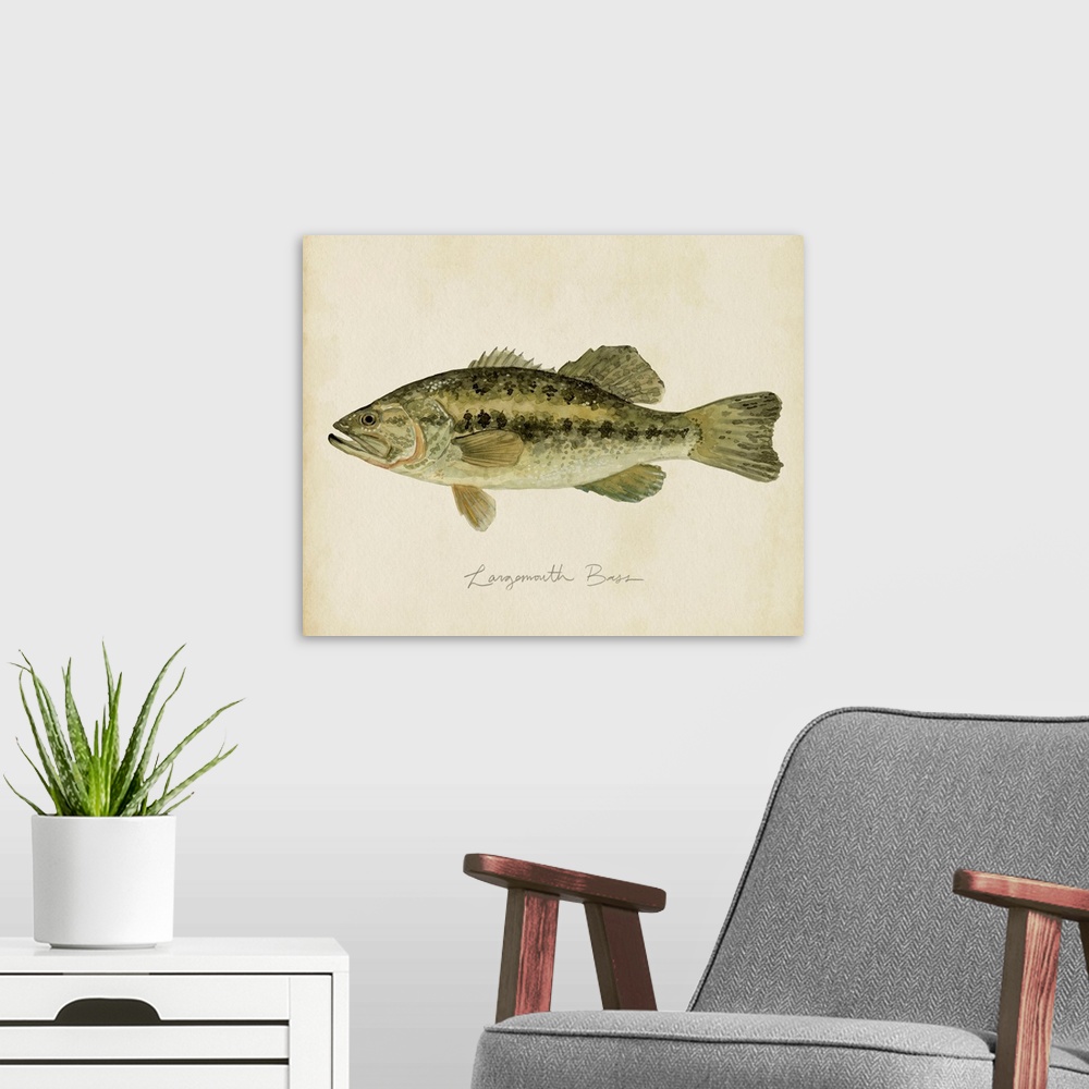A modern room featuring Freshwater Fish Study III