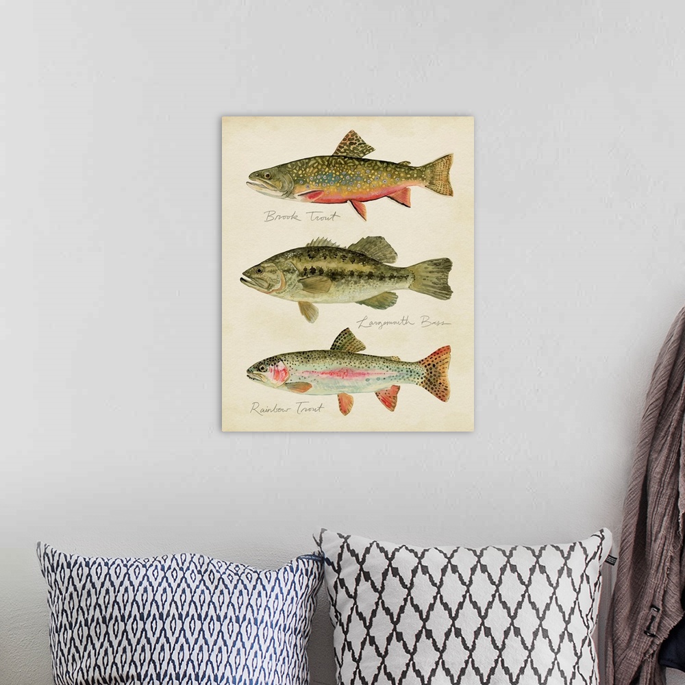 A bohemian room featuring Freshwater Fish Study IV