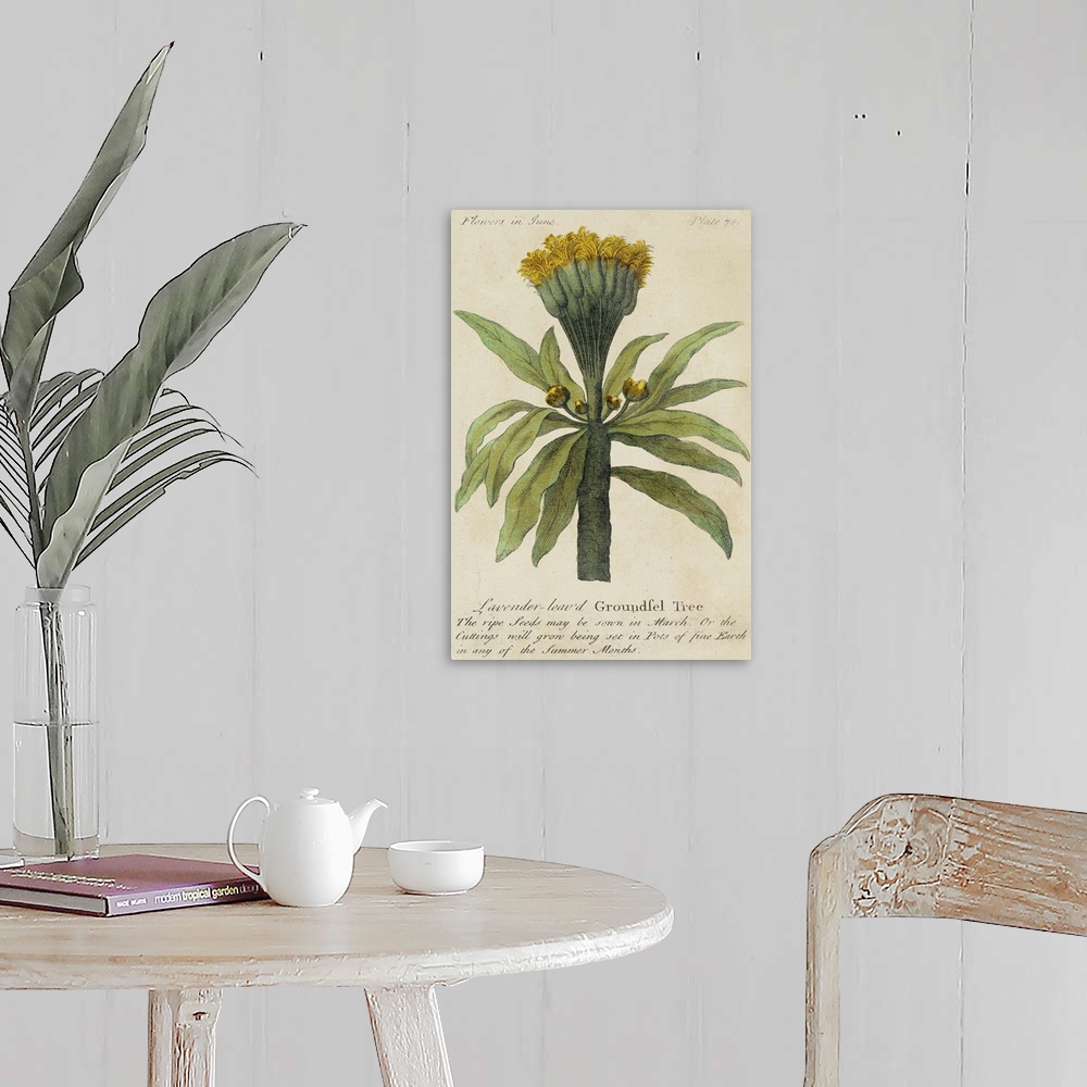 A farmhouse room featuring Vintage stylized botanical illustration for a guide to gardening.