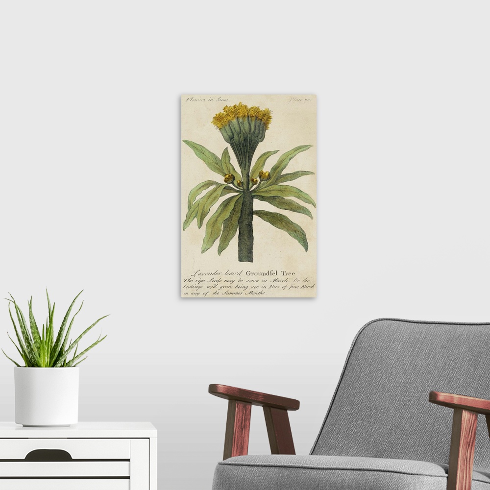 A modern room featuring Vintage stylized botanical illustration for a guide to gardening.