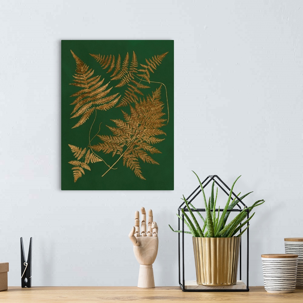 A bohemian room featuring Gilded Ferns II