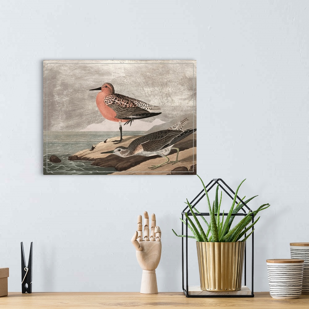 A bohemian room featuring Gilded Sandpipers I