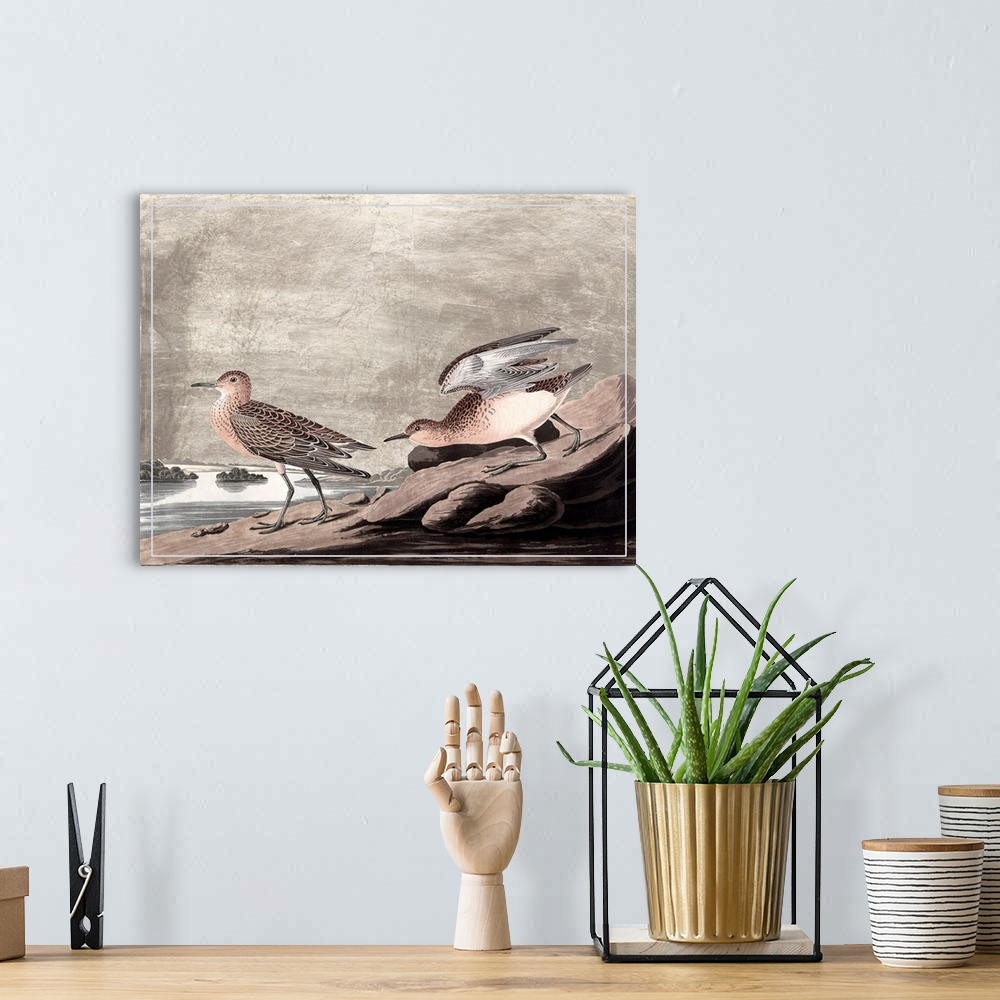 A bohemian room featuring Gilded Sandpipers IV