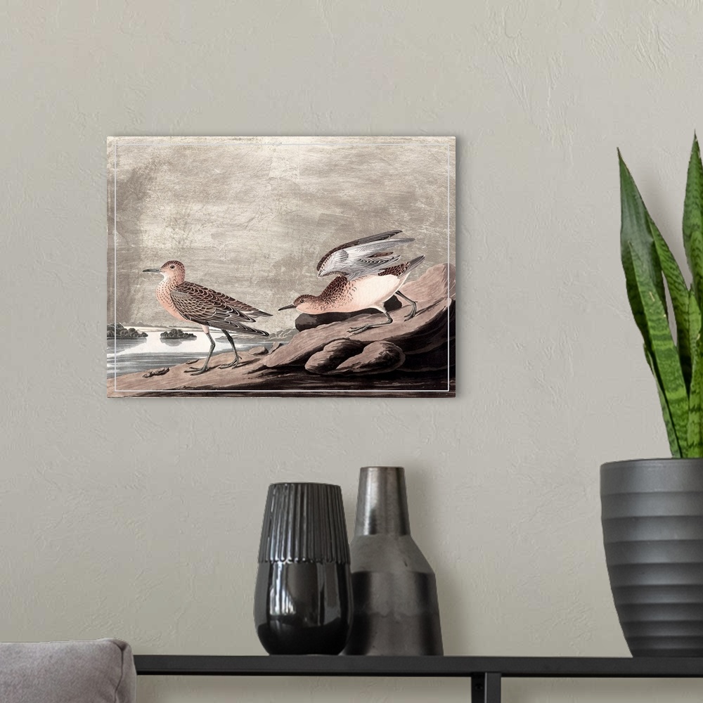 A modern room featuring Gilded Sandpipers IV