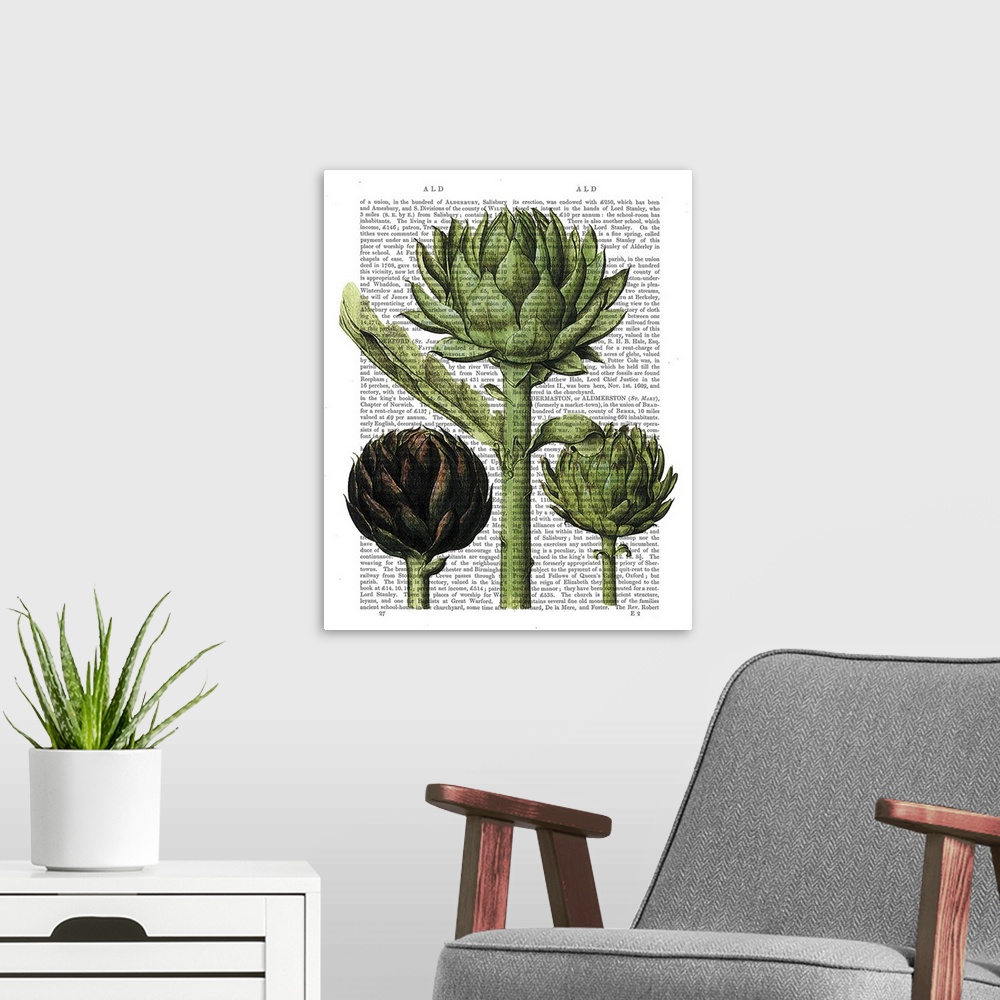 A modern room featuring Botanical illustration of artichokes painted over a vintage dictionary page.