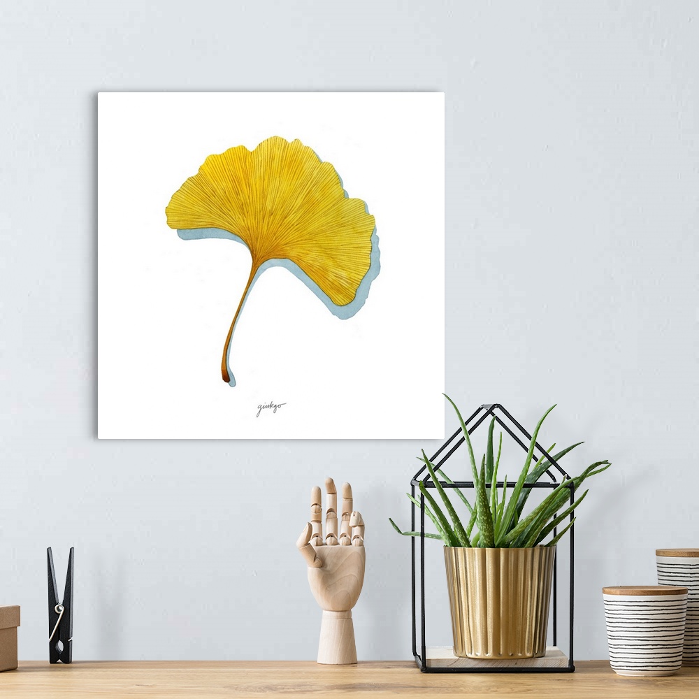 A bohemian room featuring A simple contemporary illustration of a single yellow ginkgo leaf on a white background