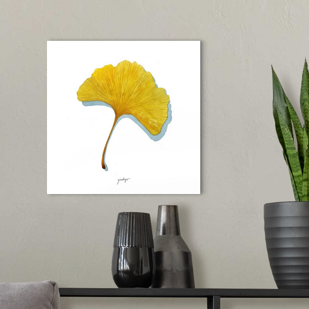 A modern room featuring A simple contemporary illustration of a single yellow ginkgo leaf on a white background