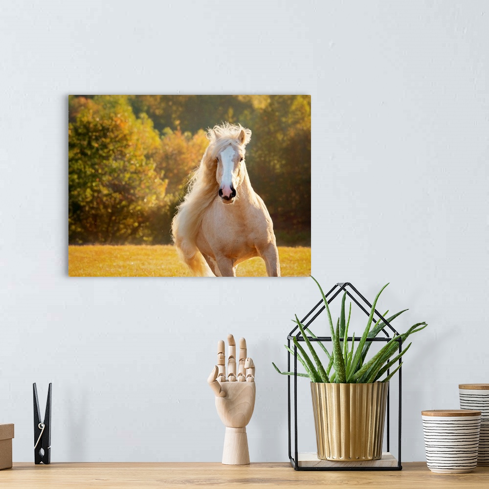 A bohemian room featuring Golden Lit Horse IV