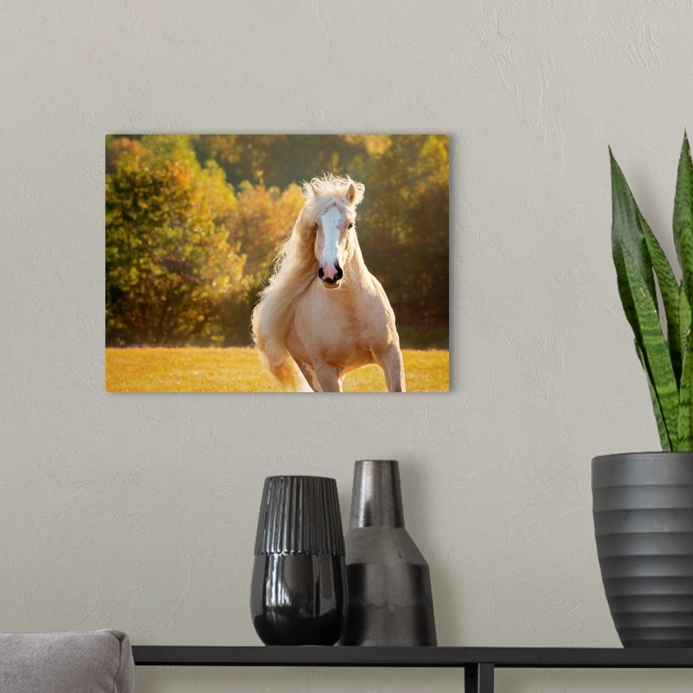 A modern room featuring Golden Lit Horse IV